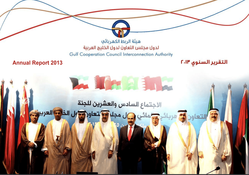 التقرير السنوي 2013